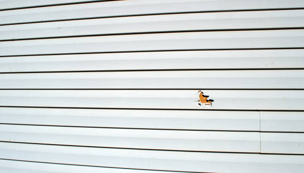 Best Residential Vinyl Siding Installation  in Reynoldsburg, OH